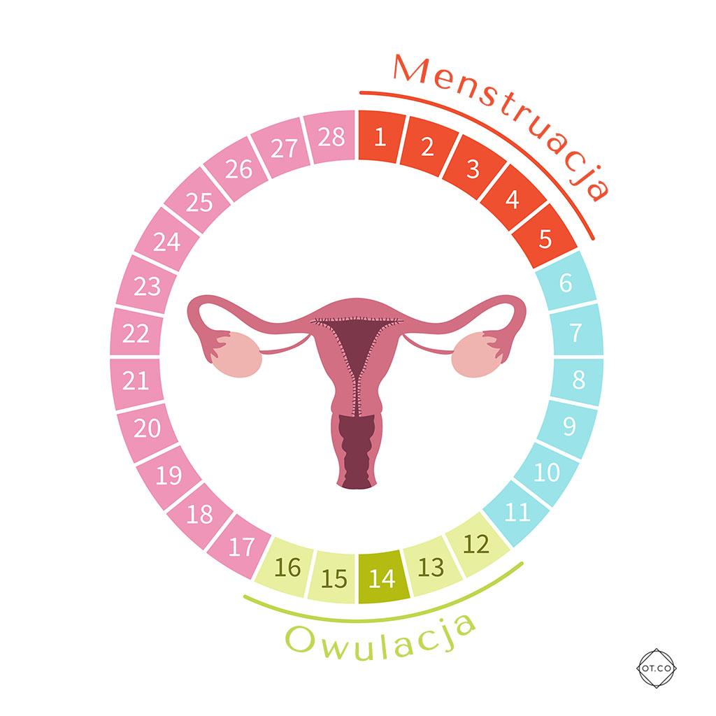 An illustration depicting abnormal bleeding with a focus on internal and external causes.