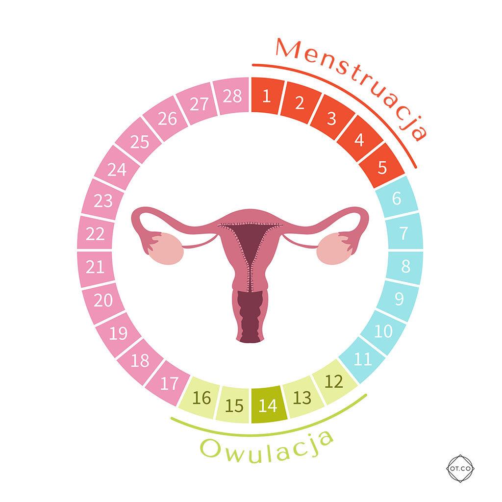 Menstrual calendar with uneven dates marked, symbolizing irregular periods and cycle changes.