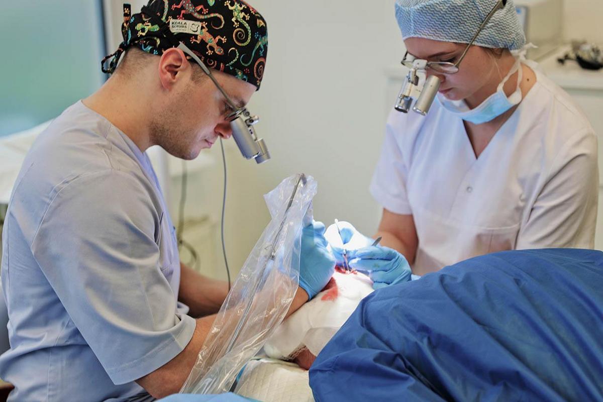 Consider long-term impact over immediate savings for hair transplantations.